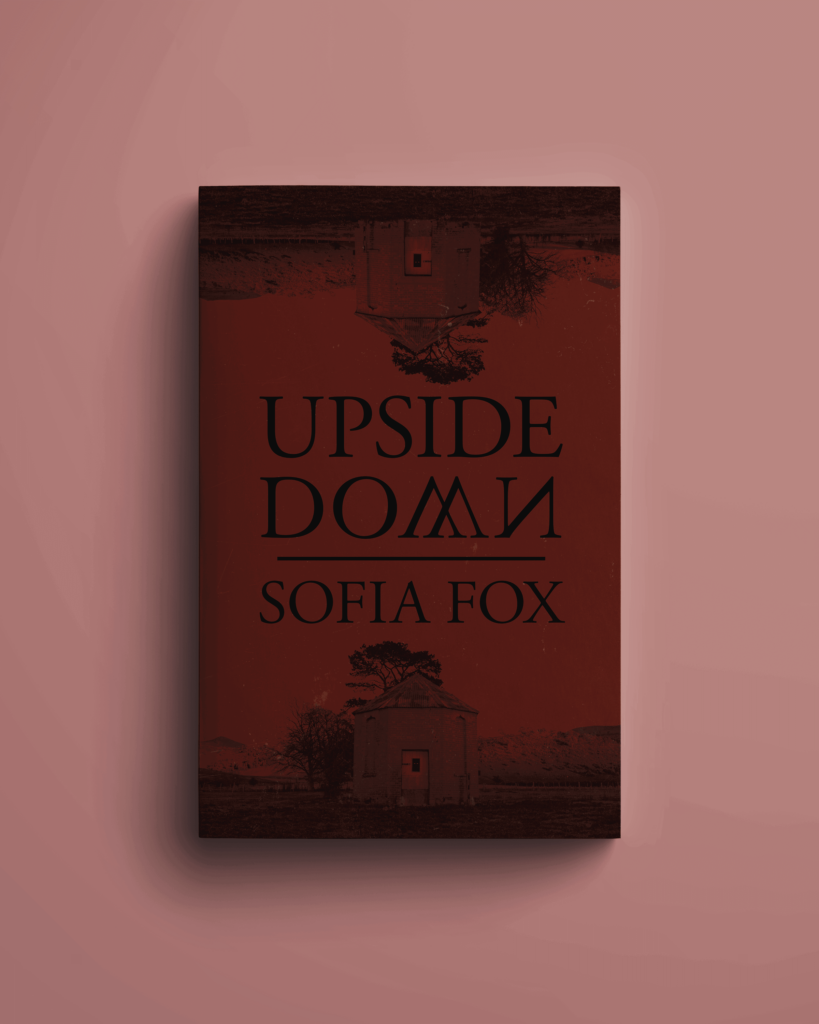 diseño de portada de libro por diseñador de portadas profesional para escritores autopublicados y editoriales