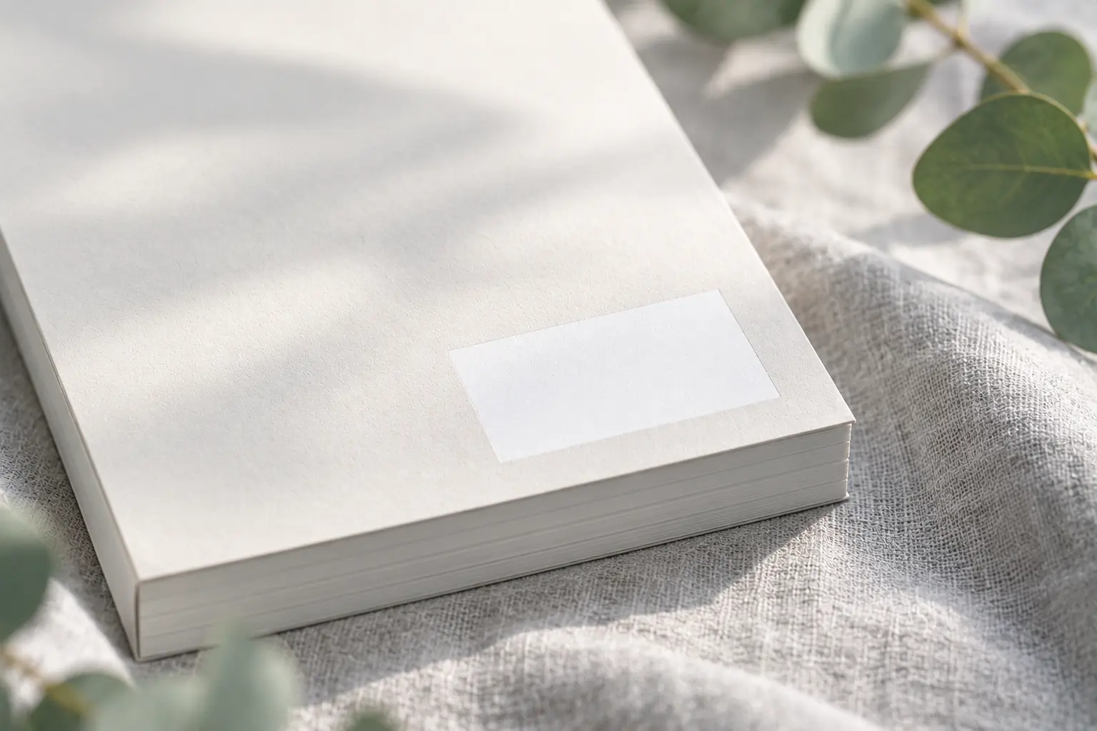 ISBN autopublicar libro España: contraportada lisa con recuadro blanco vacío
